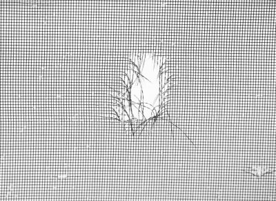 Replace Old or Broken Screens